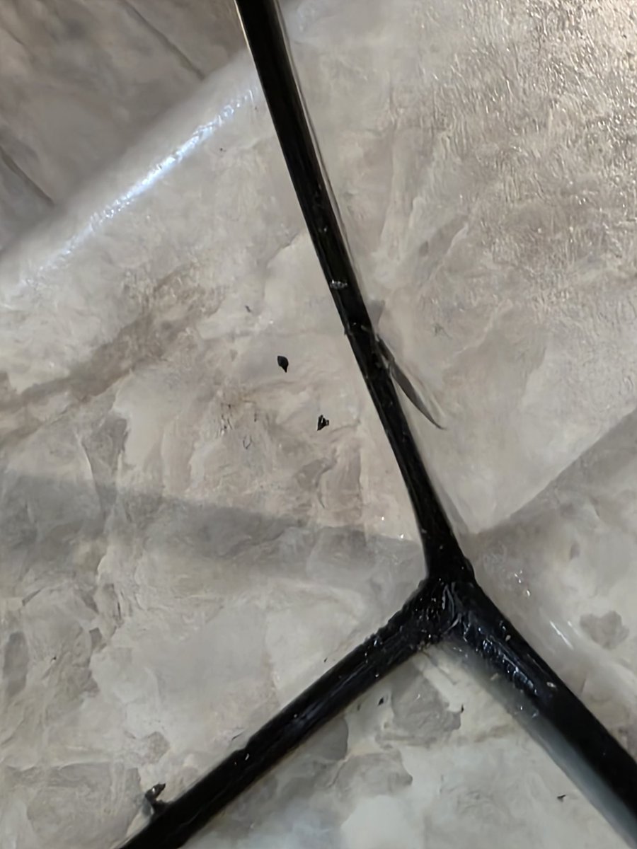 Amiee Kizior tweet media