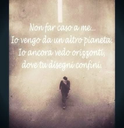 annamariamoscar's tweet image. 