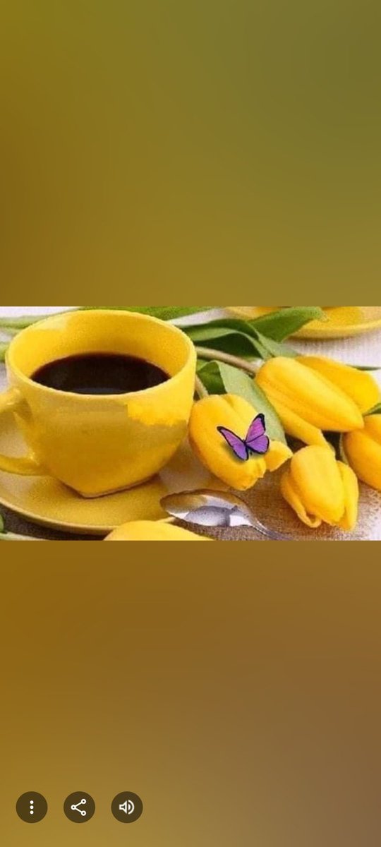 مبروووك ياعالمينا 
نصر وصدارة 👍