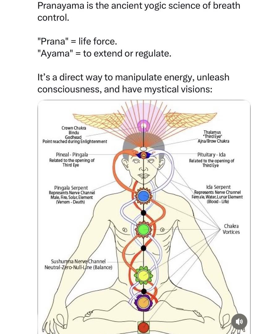 ʞıʇǝuıʞuǝʇuɐnbqns tweet media