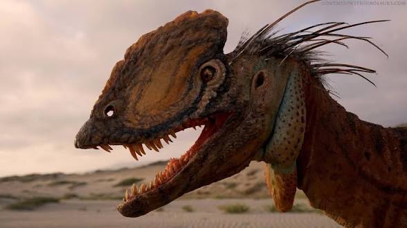 ミSpinoAxolotl彡 tweet media