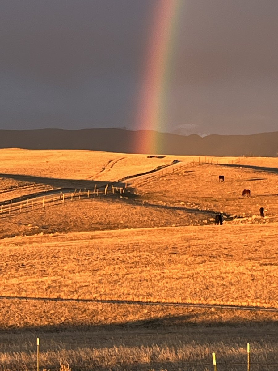 Gina Waldon tweet media