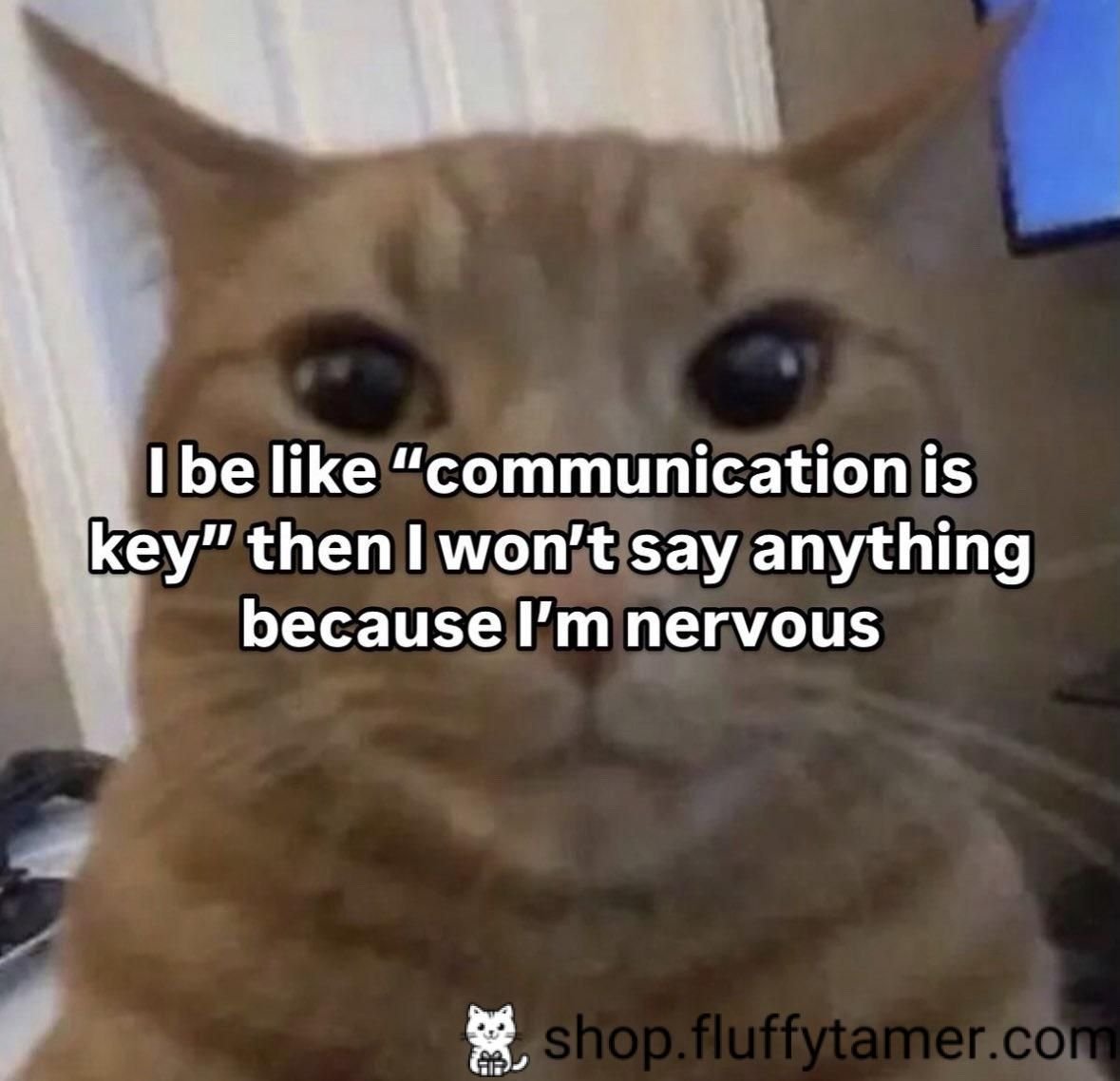 Michi Mochievee 💍 tweet media