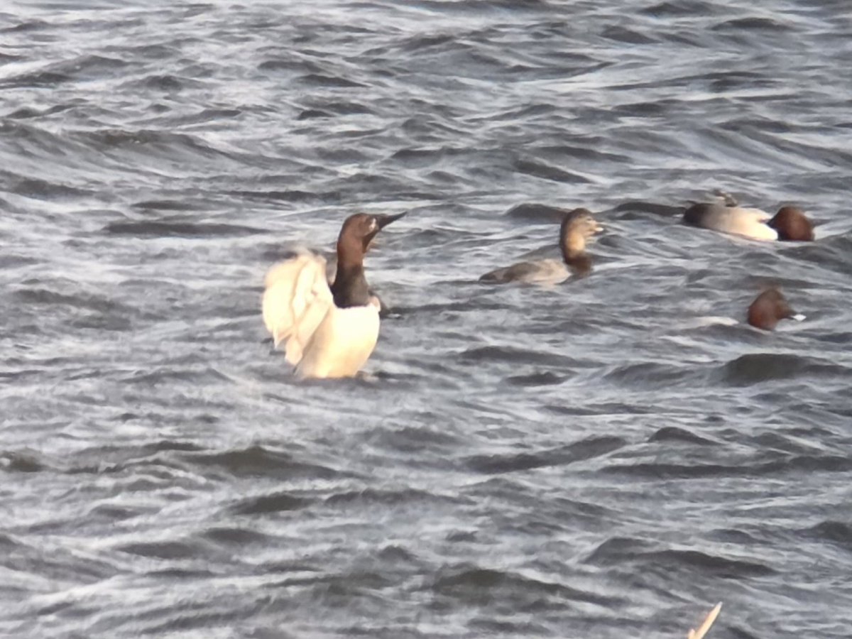 Stuart Read tweet media