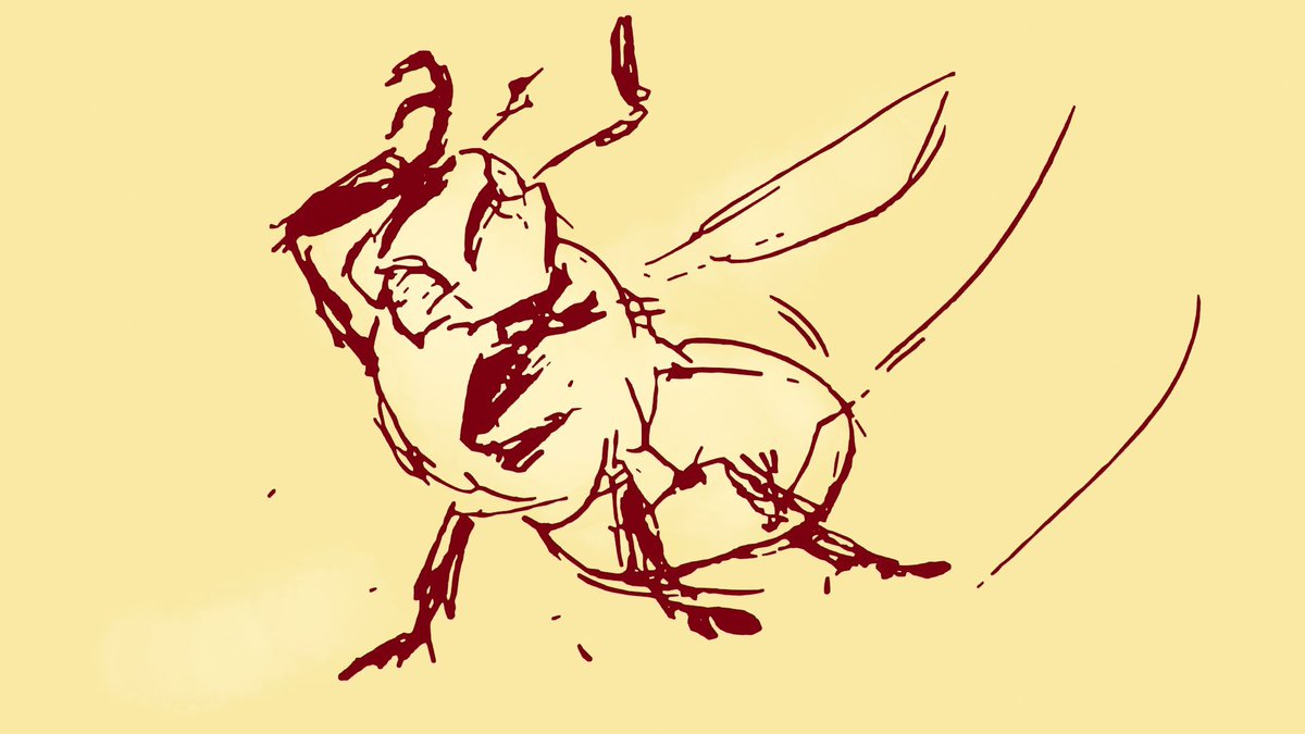 Humans-B-Gone! tweet media