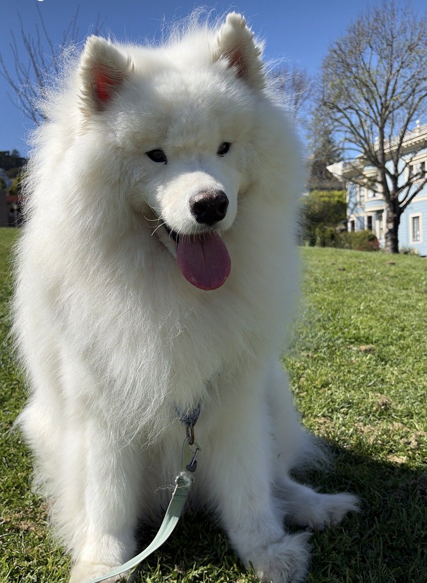 Jack Turban MD 🧠 tweet media