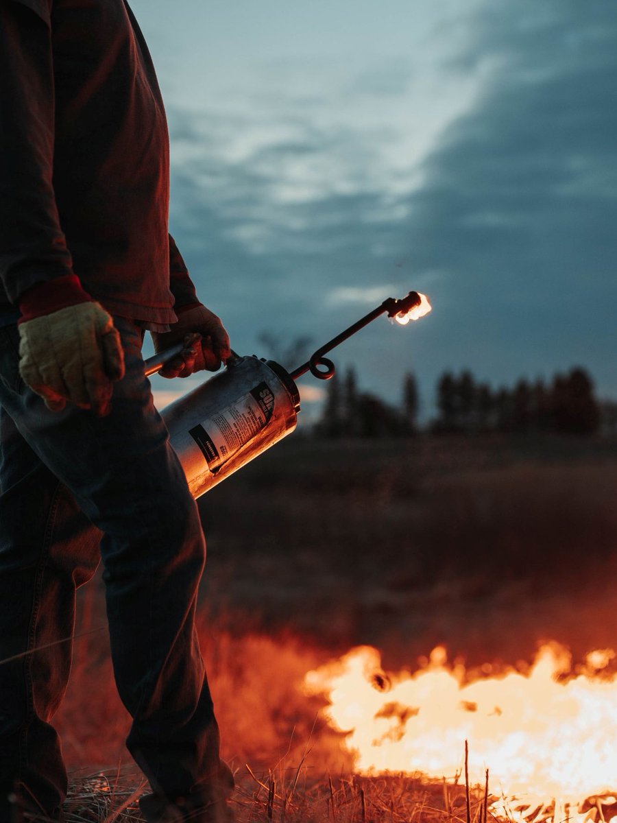 Bear Archery tweet media