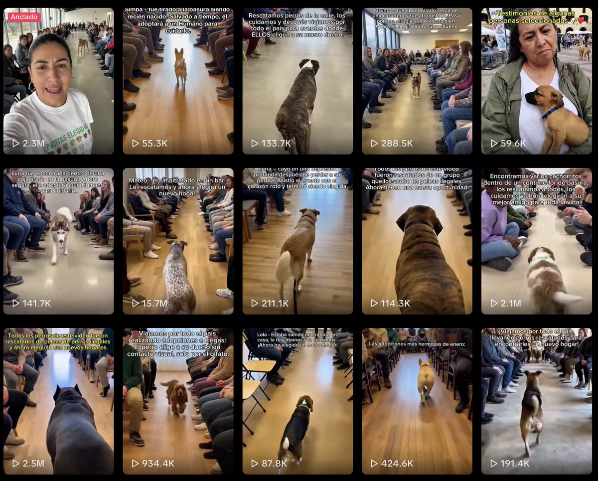 Alan Daitch tweet media