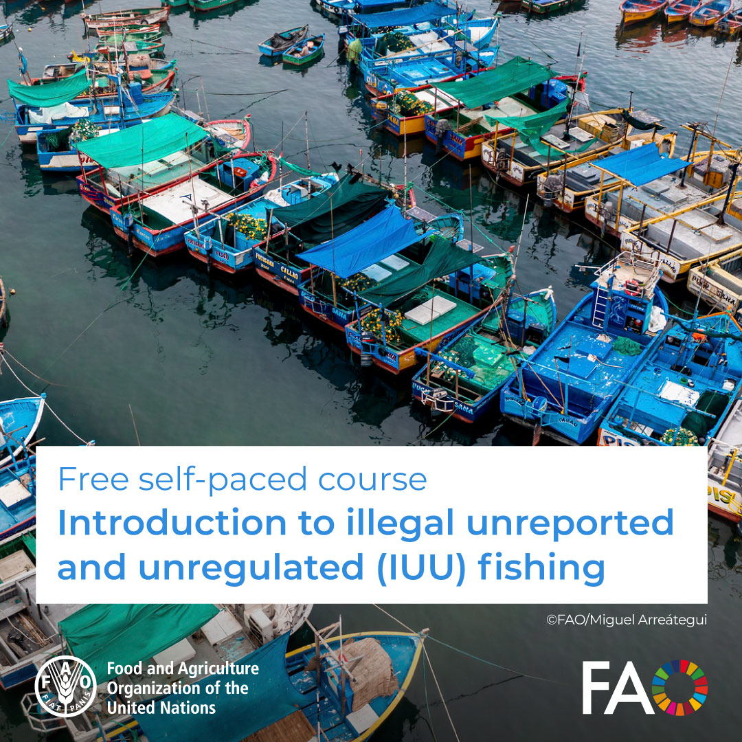 FAO in the Caribbean tweet media