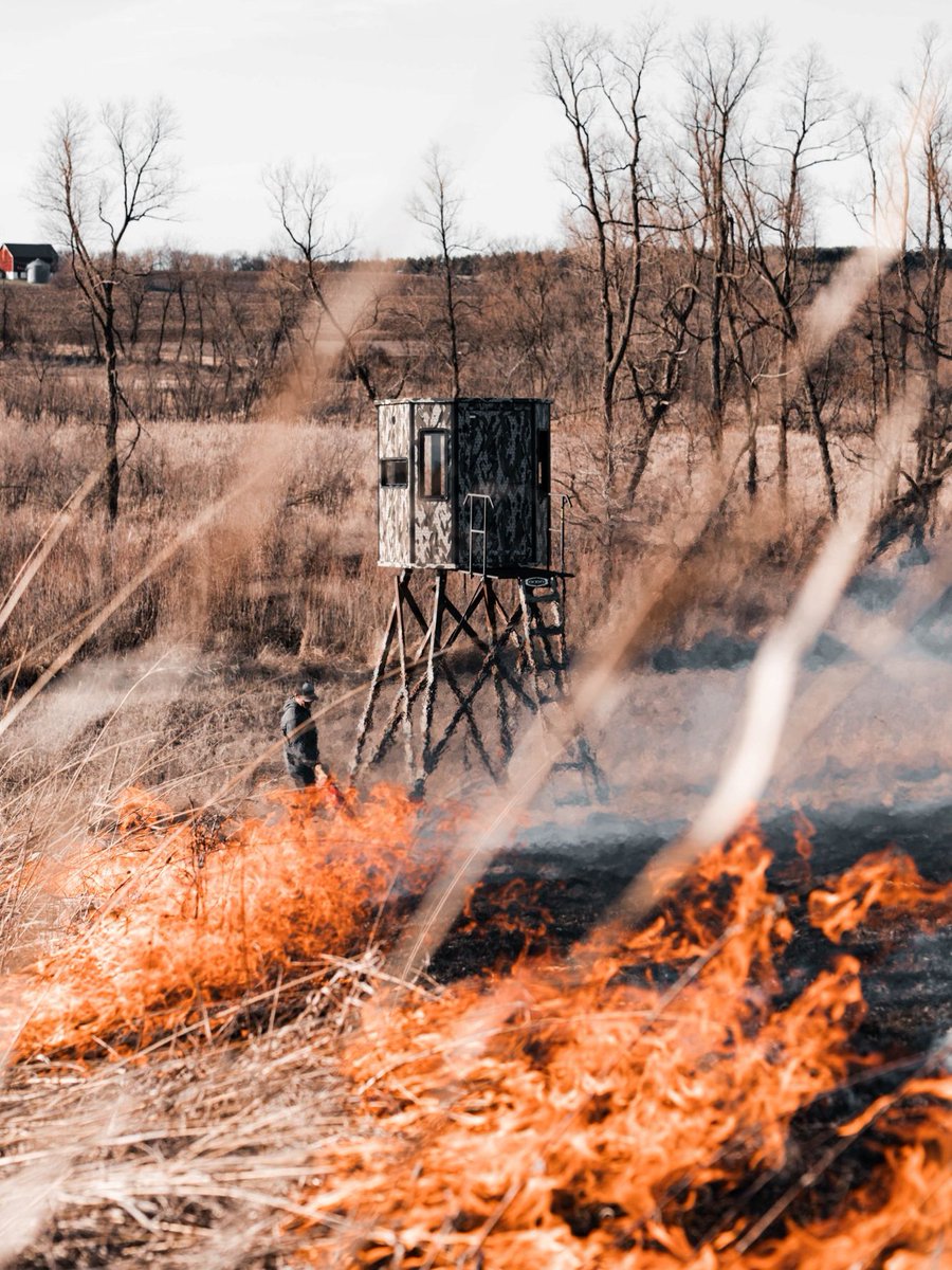 Bear Archery tweet media