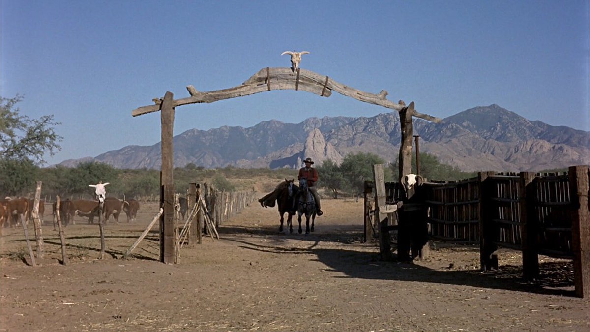 Werner Herzog's missing shoe tweet media