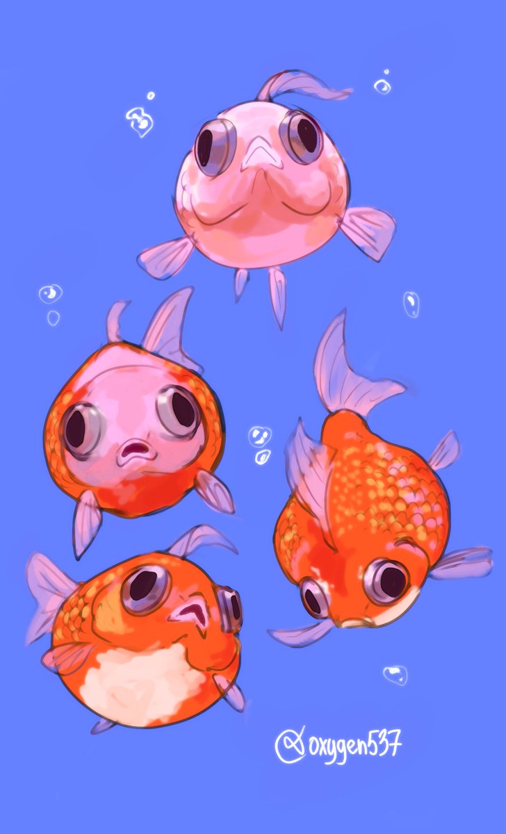 Oxygen537 | comms open tweet media