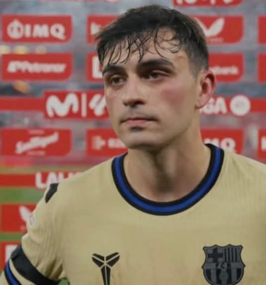 Pedrinho10 tweet media