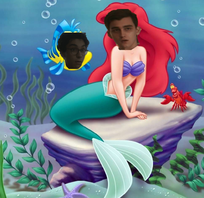 ˗ˏˋtayˎˊ˗ tweet media