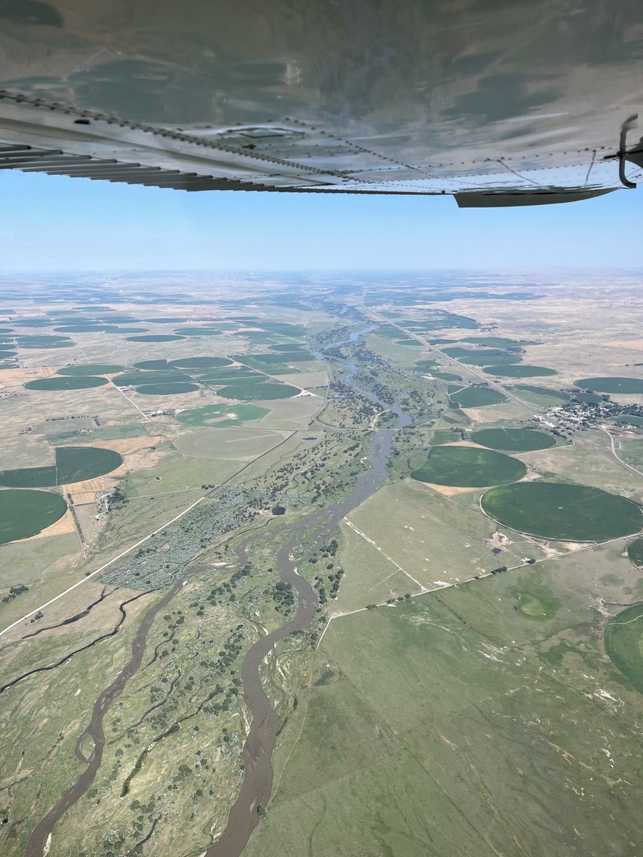 Martin Price tweet media