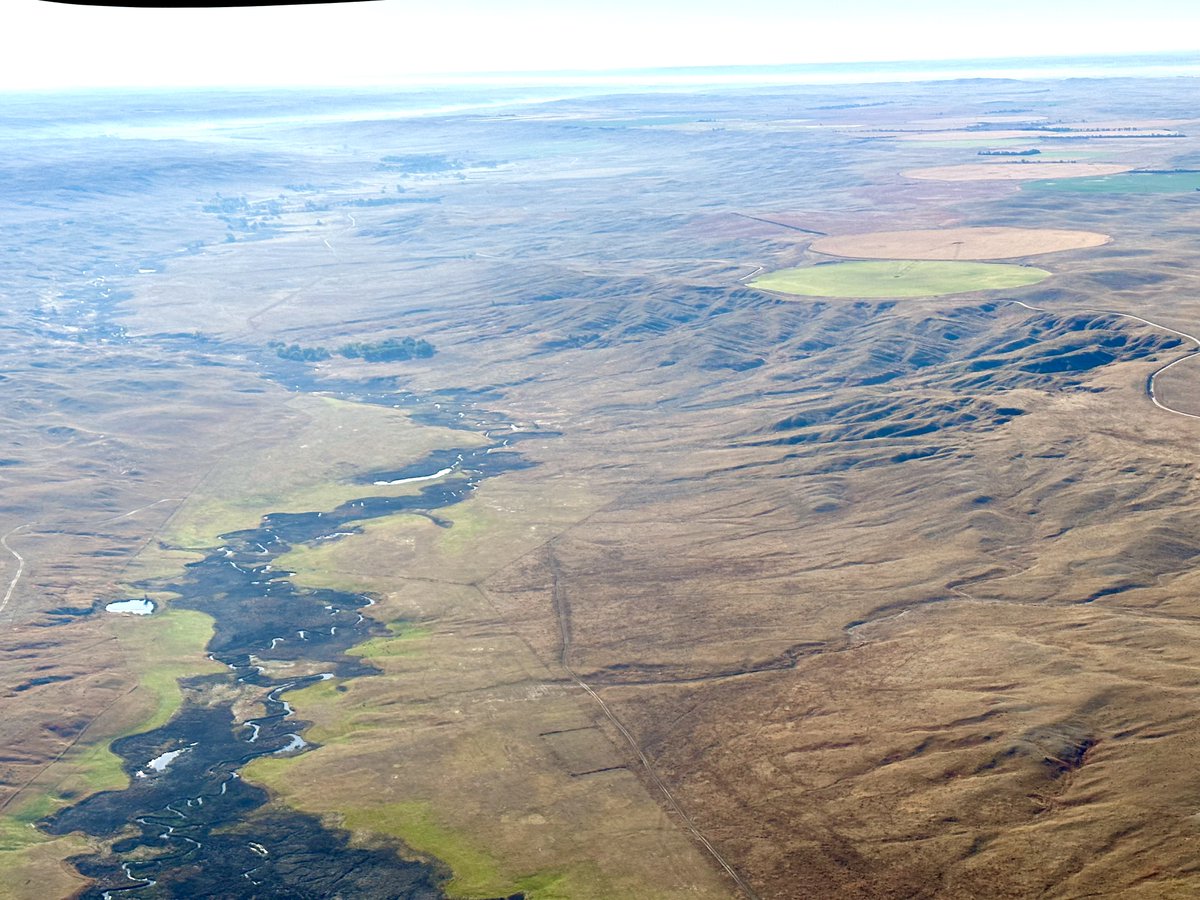 Martin Price tweet media