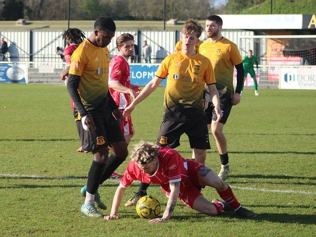 Local Bus Driver tweet media