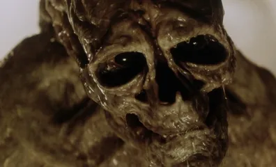 VORTE𝕏 tweet media