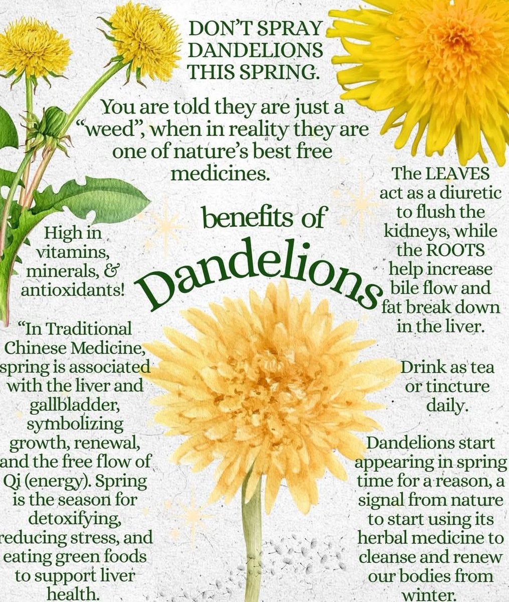 David Wolfe tweet media