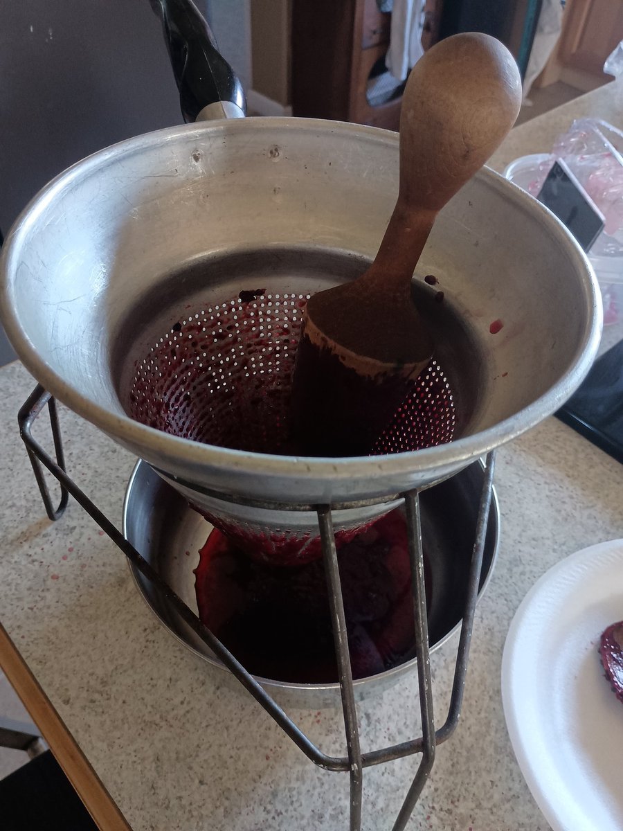 D’Ranch Life tweet media