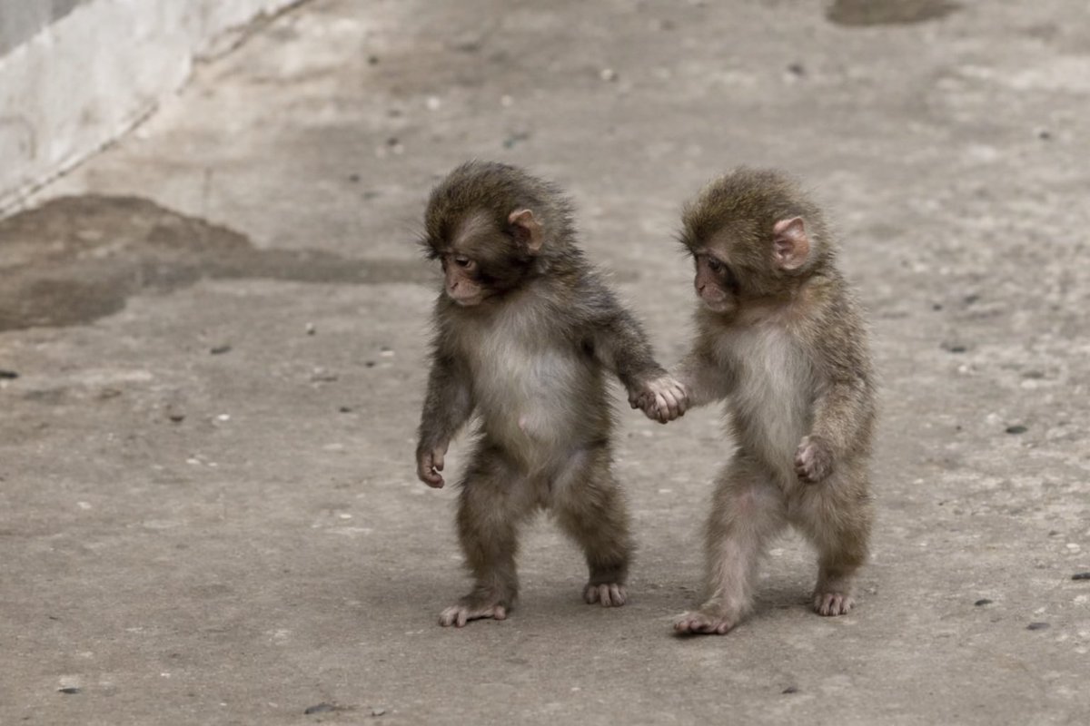 Why do you Keep Remembering