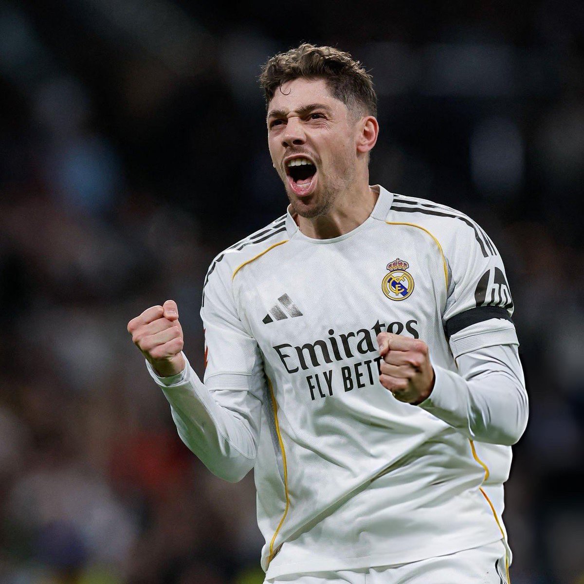 Berneese tweet media