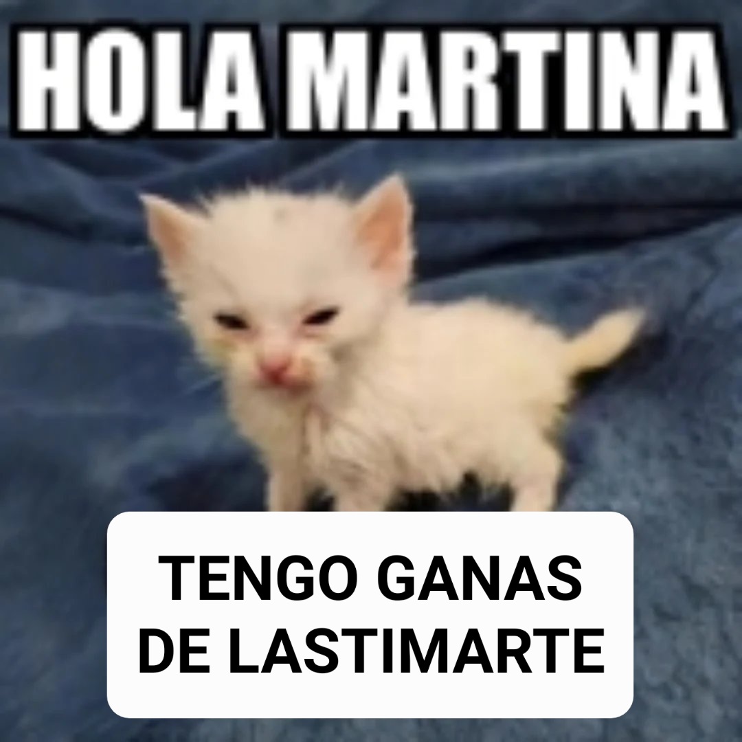 marti (@mongolicgf) on Twitter photo 