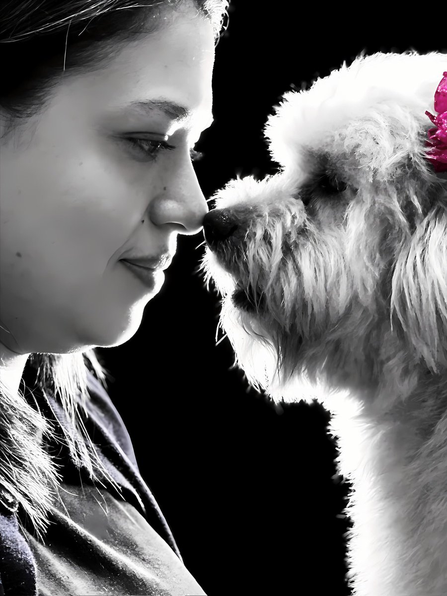 julizzma's tweet photo. Que no daría yo por contemplarte, aunque fuera un solo instante🐶🐾🐾🐾 https://t.co/2nQiNJLvIN