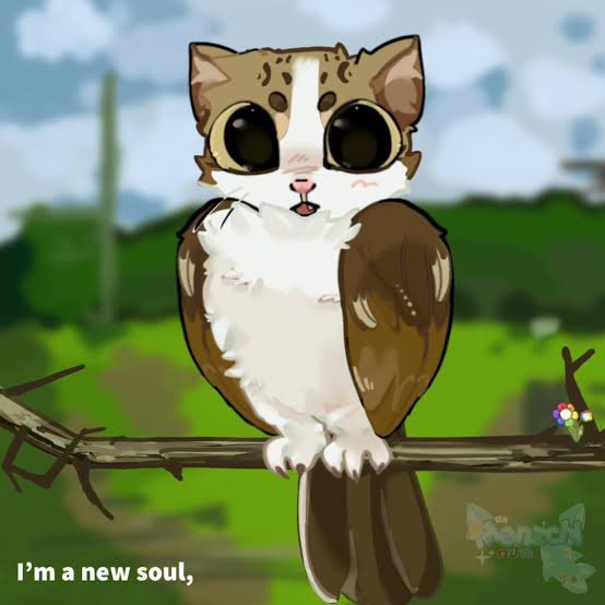 Bulltard 🐂 tweet media