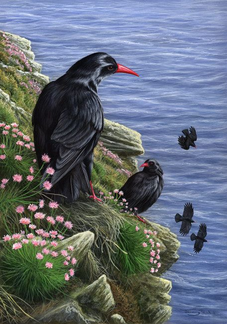 P J Richards tweet media