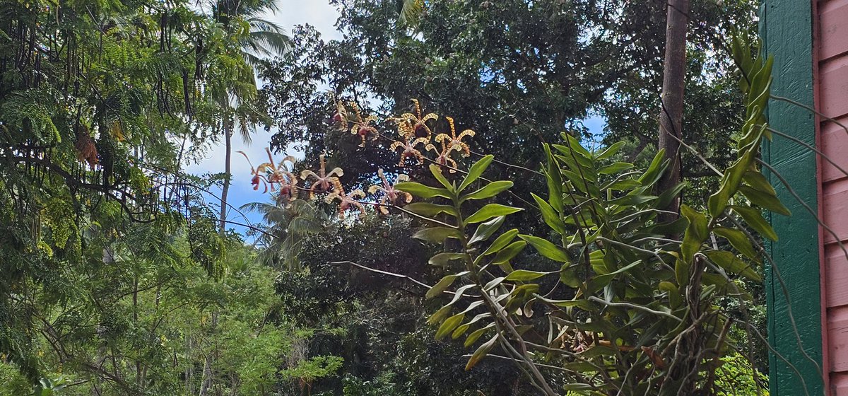 Christopher McQuade tweet media