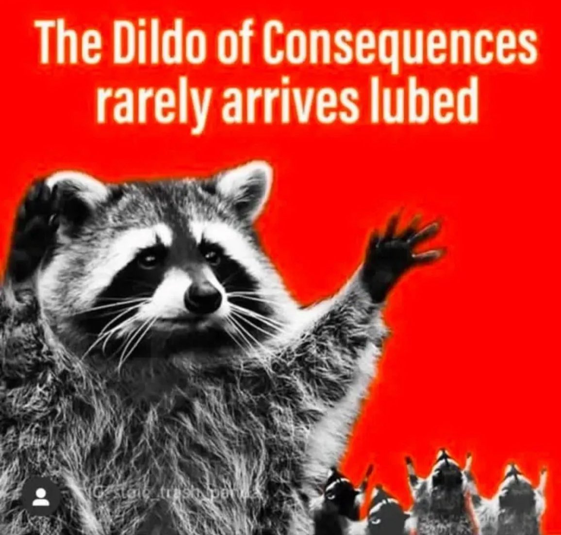 Claire Laskowski 🌵🇺🇦🌻 tweet media