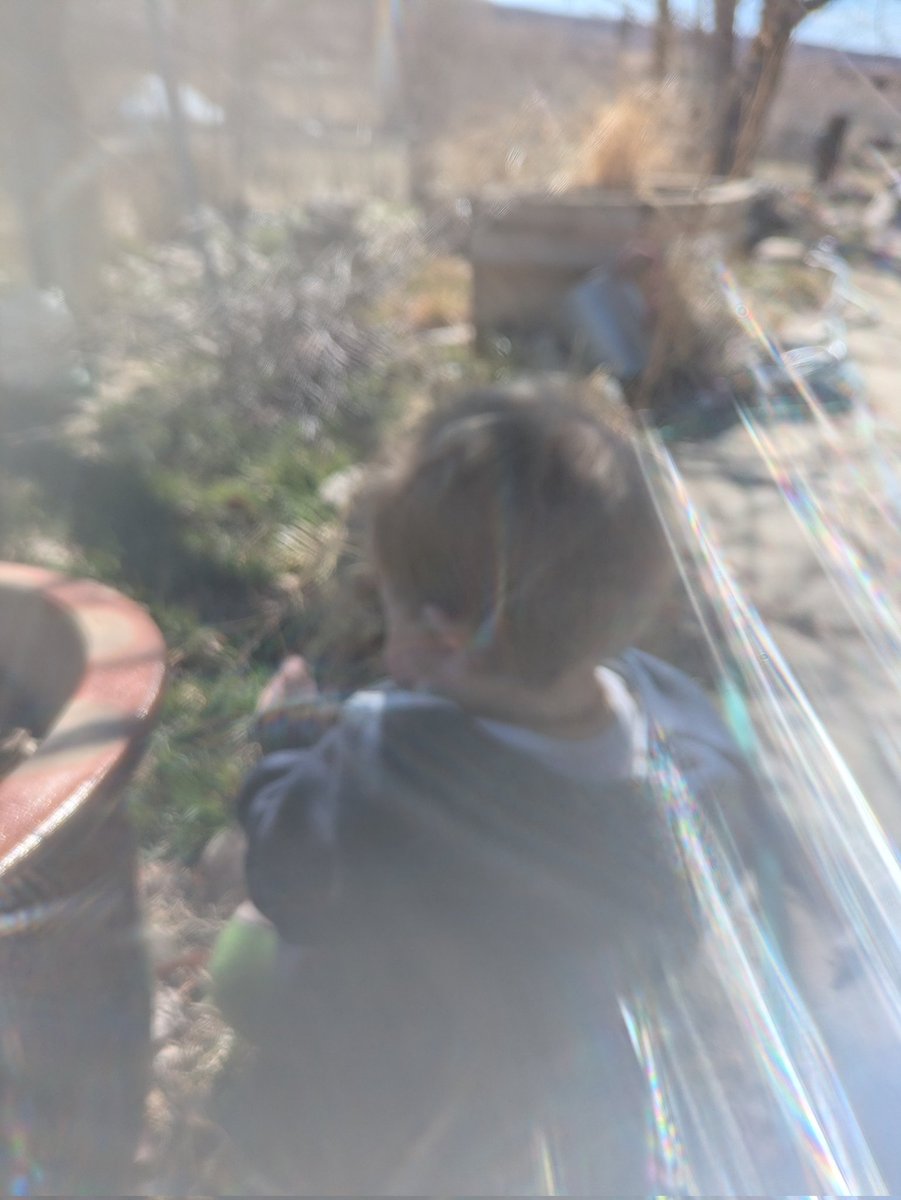 Freeborn Farm tweet media