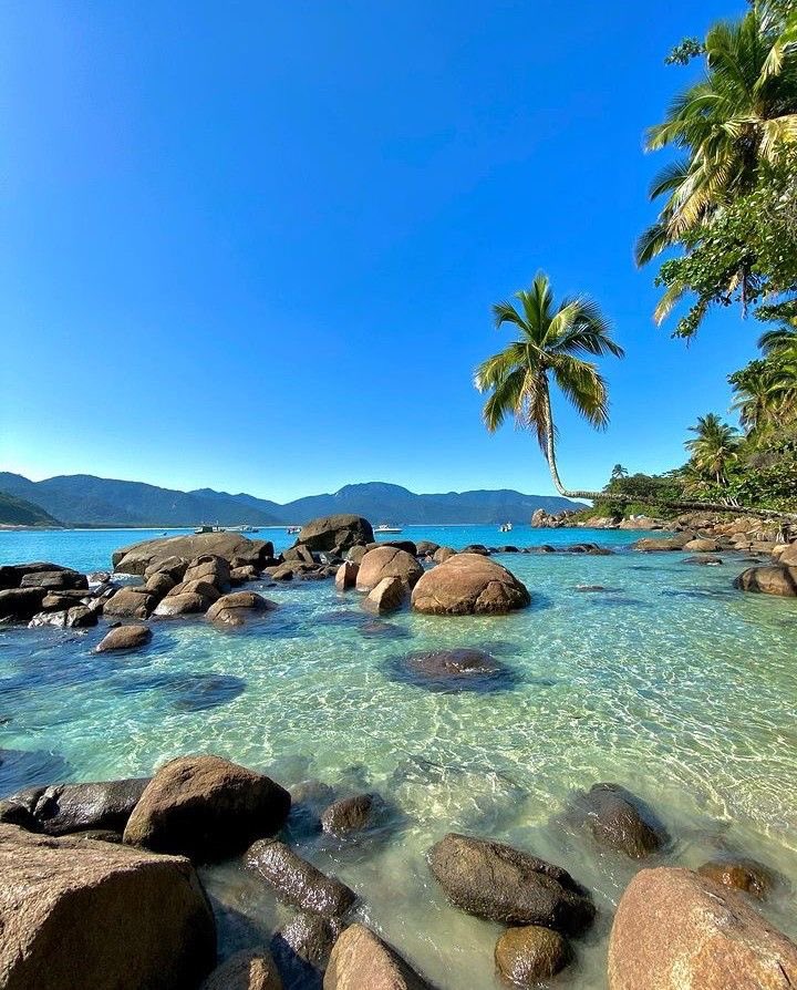 𝗕e͟𝗹𝗹a͜͡ 𝒇𝒊𝒔𝗸 ྀི tweet media