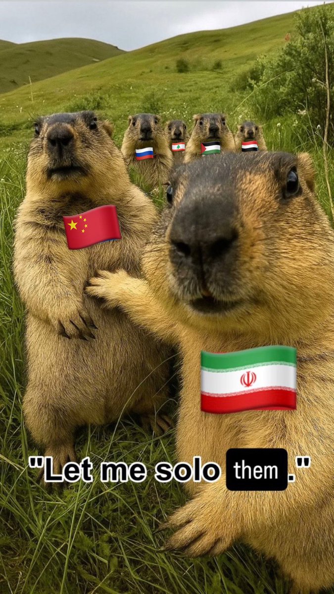 Andzace's tweet photo. Iran 🇮🇷 to China 🇨🇳 Russia 🇷🇺 North Korea 🇰🇵  was like: https://t.co/2zgOkt7mgS