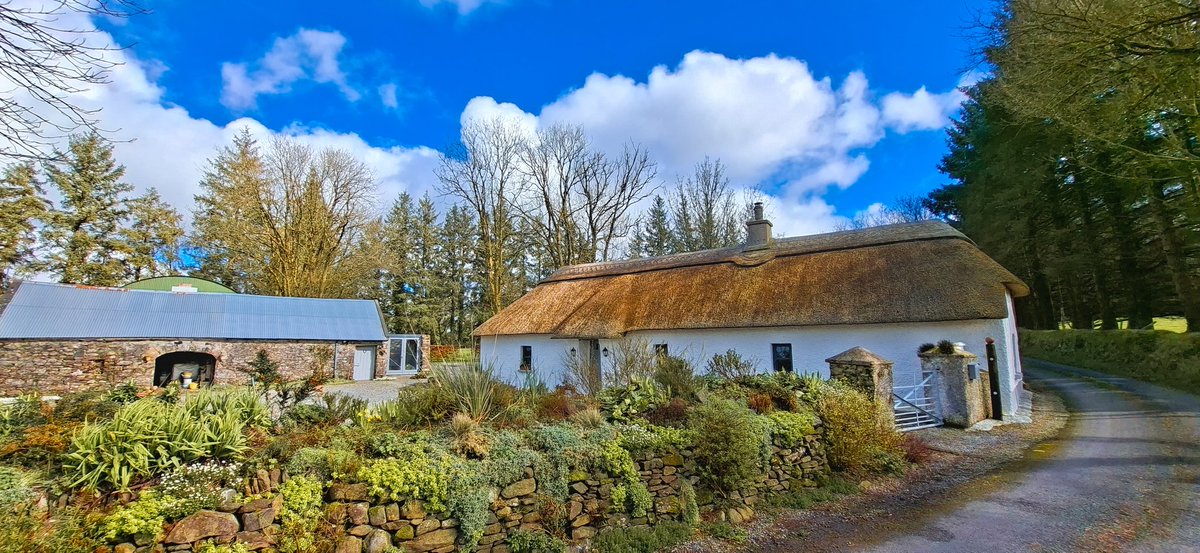 Patrick Kenealy tweet media