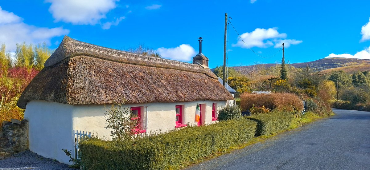 Patrick Kenealy tweet media