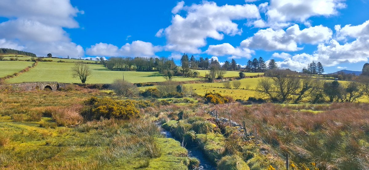 Patrick Kenealy tweet media