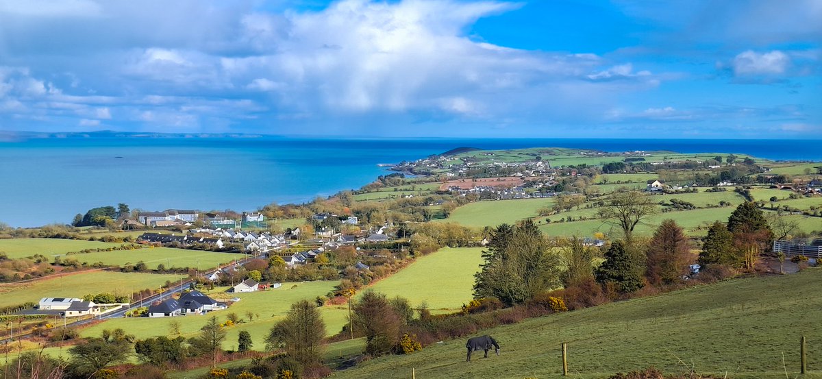 Patrick Kenealy tweet media