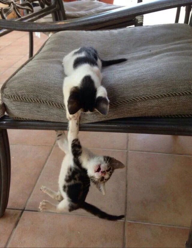 TIMELY TWIN TURBO !! ☆ tweet media