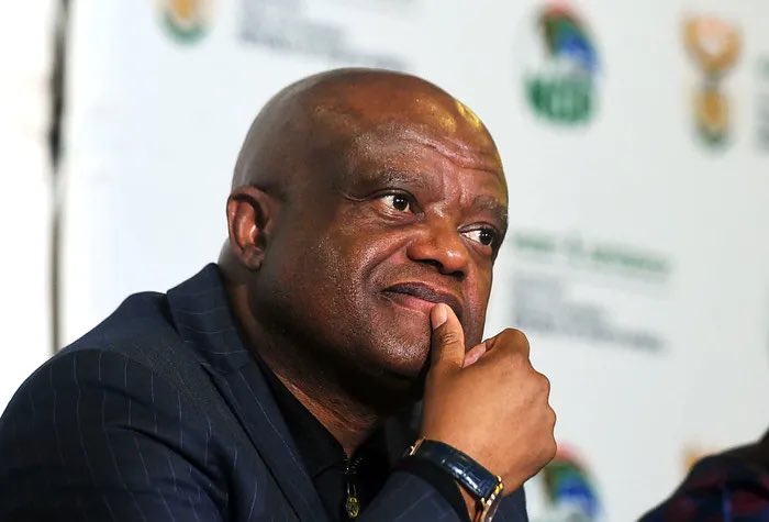 South African Daily tweet media