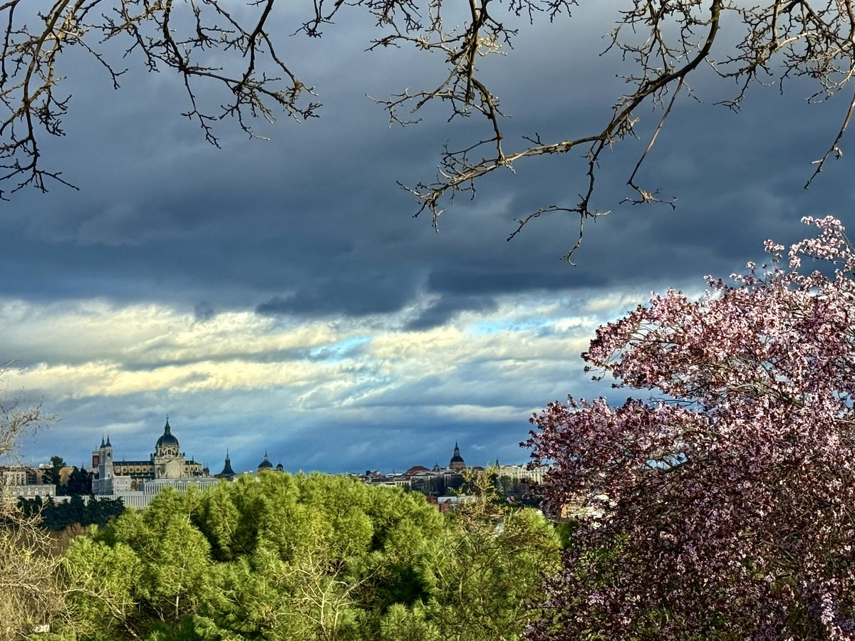 Sebastian Alvaro tweet media