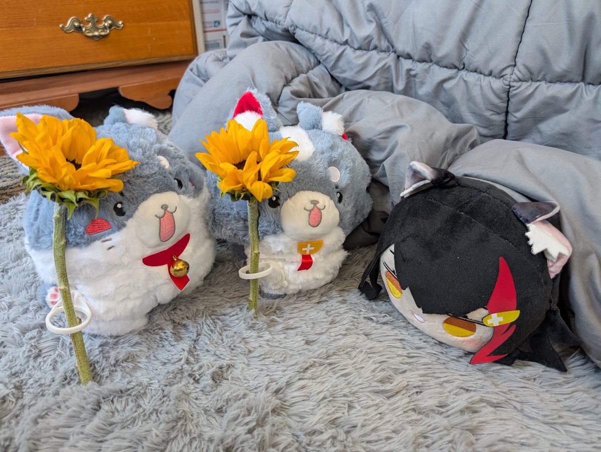 redplanks (れぷらー)🌲👾 tweet media