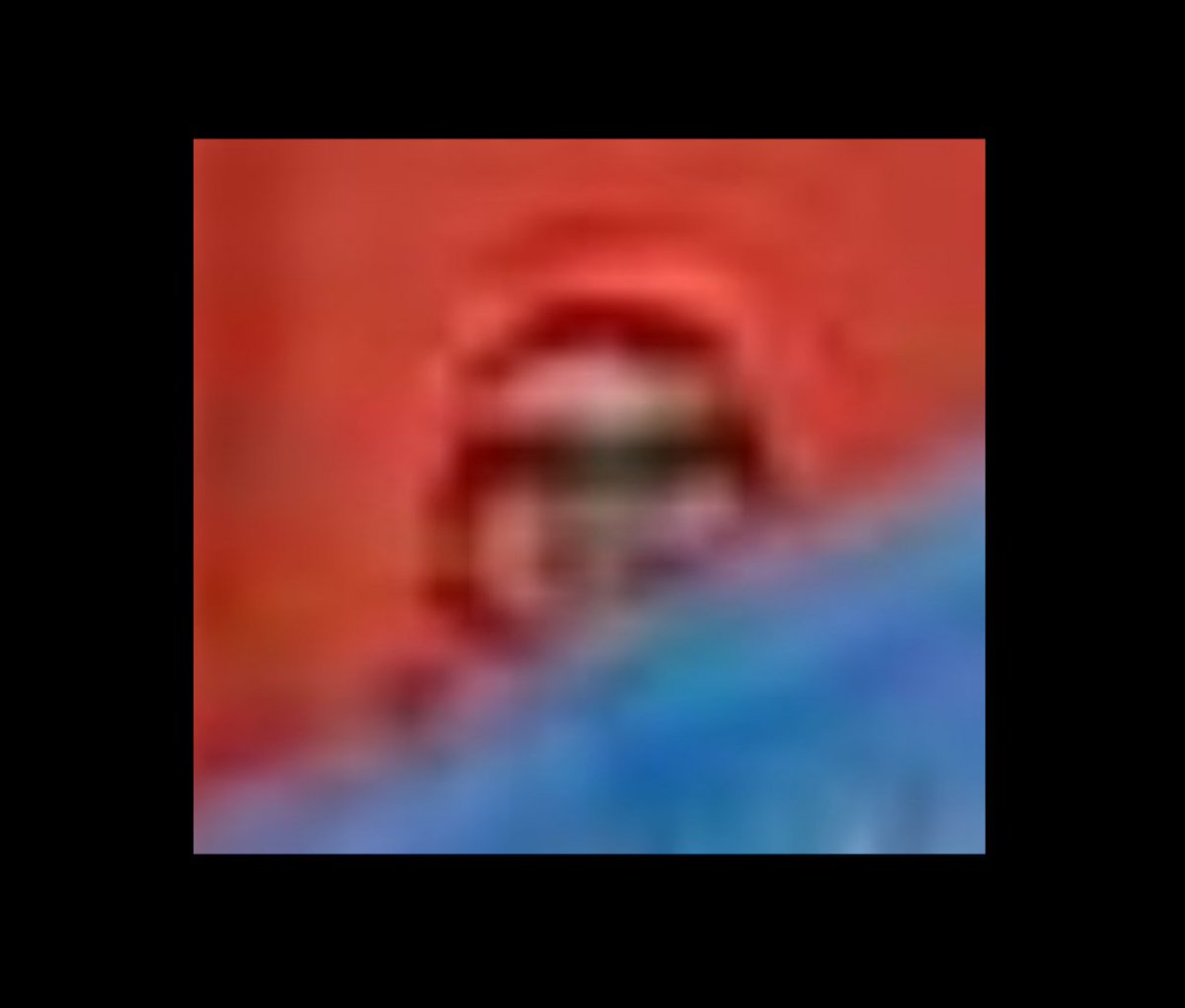 En el hangar de los Bell la mancha diminuta sosteniendo la bandera de Santa Cruz soy yo. Mi mamá se quejó de que salía muy chiquita y decidió hacerle zoom a la foto y mandársela a sus amigas: