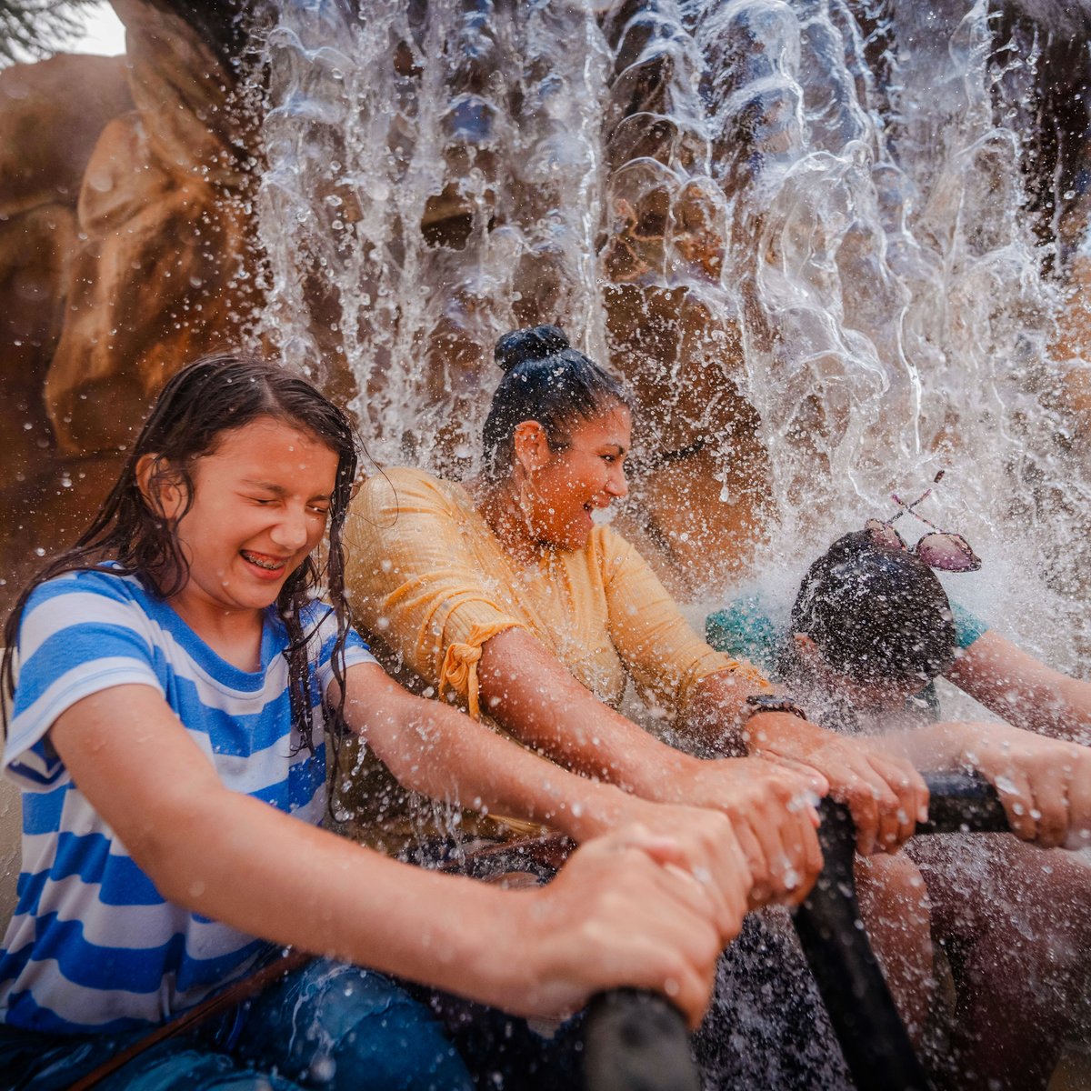 Six Flags Discovery Kingdom tweet media