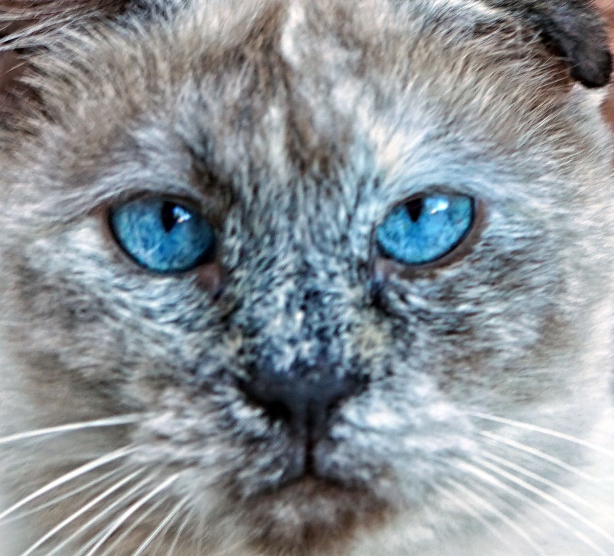 TheRealThelmaJohnson tweet media