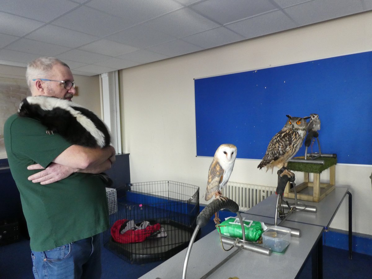 Mosslands STEAM tweet media