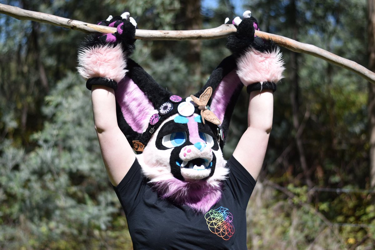 cotton 🪼🔜 FurDU tweet media