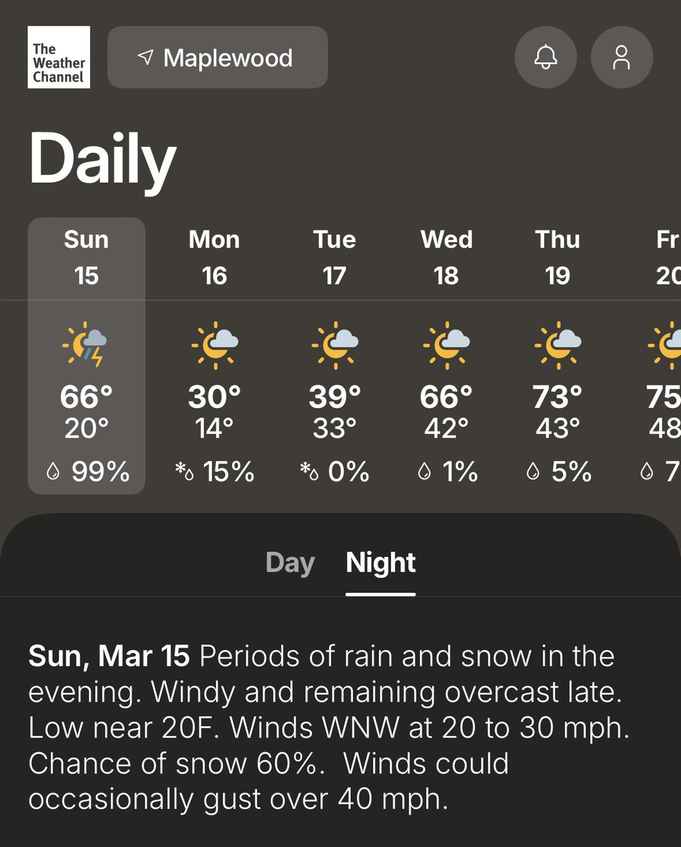 Madi Pareti tweet media