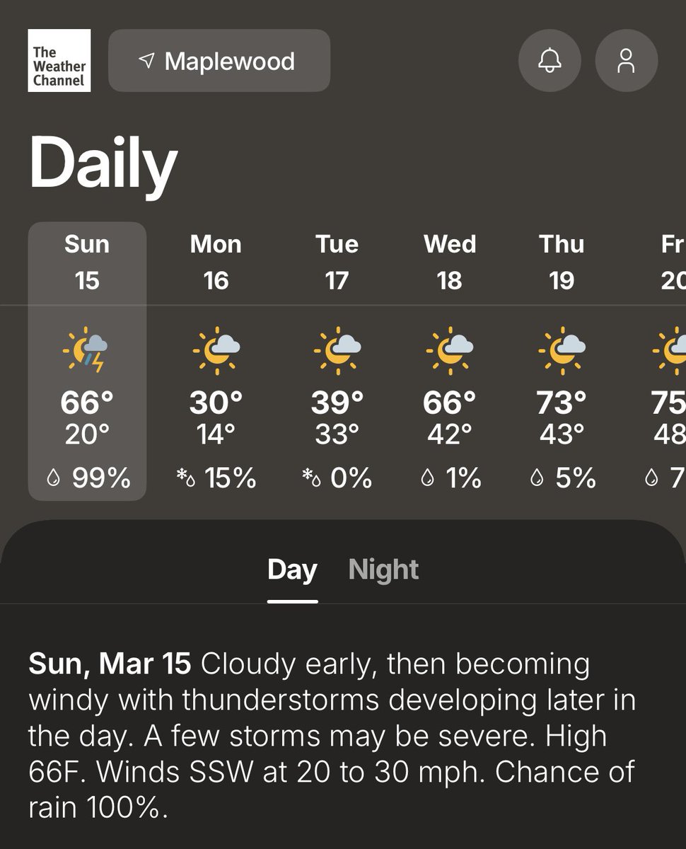 Madi Pareti tweet media